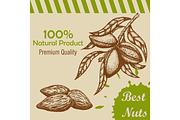 Vector template with handdrawn branch of of almonds and almond kernels.