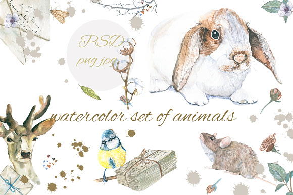 Animals watercolor in Illustrations - product preview 2