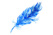 Watercolor single blue bird feather