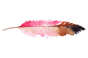 Watercolor pink purple bird feather