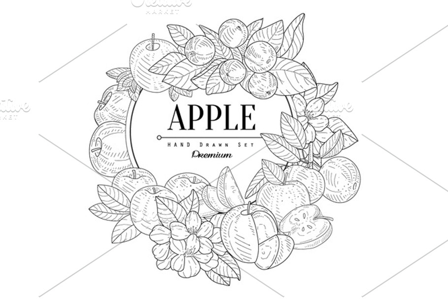 Apple Set Vintage Sketch in Illustrations - product preview 8