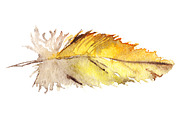 Watercolor yellow parrot feather