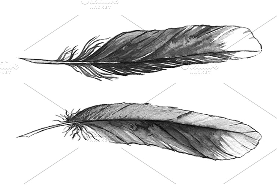 Watercolor monochrome feather set in Illustrations - product preview 8