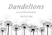 Dandelions: set of illustrations