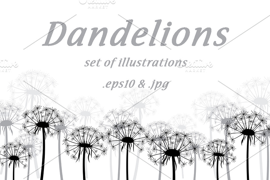 Dandelions: set of illustrations
