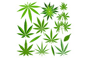 Marijuana leaf vector set