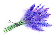 Watercolor lavender bouquet sketch