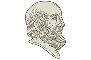 Plato Greek Philosopher Head 