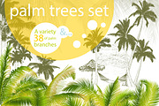 Palm tree collection (Vector)