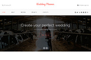 Wedding Planner One Page Theme