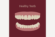 Healthy Teeth Vector Image