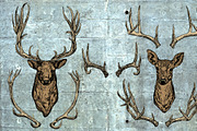  Deer and horns set.