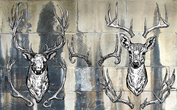  Deer and horns set. in Objects - product preview 1