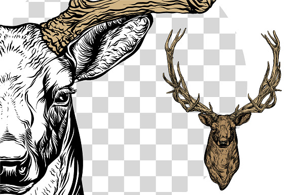  Deer and horns set. in Objects - product preview 3