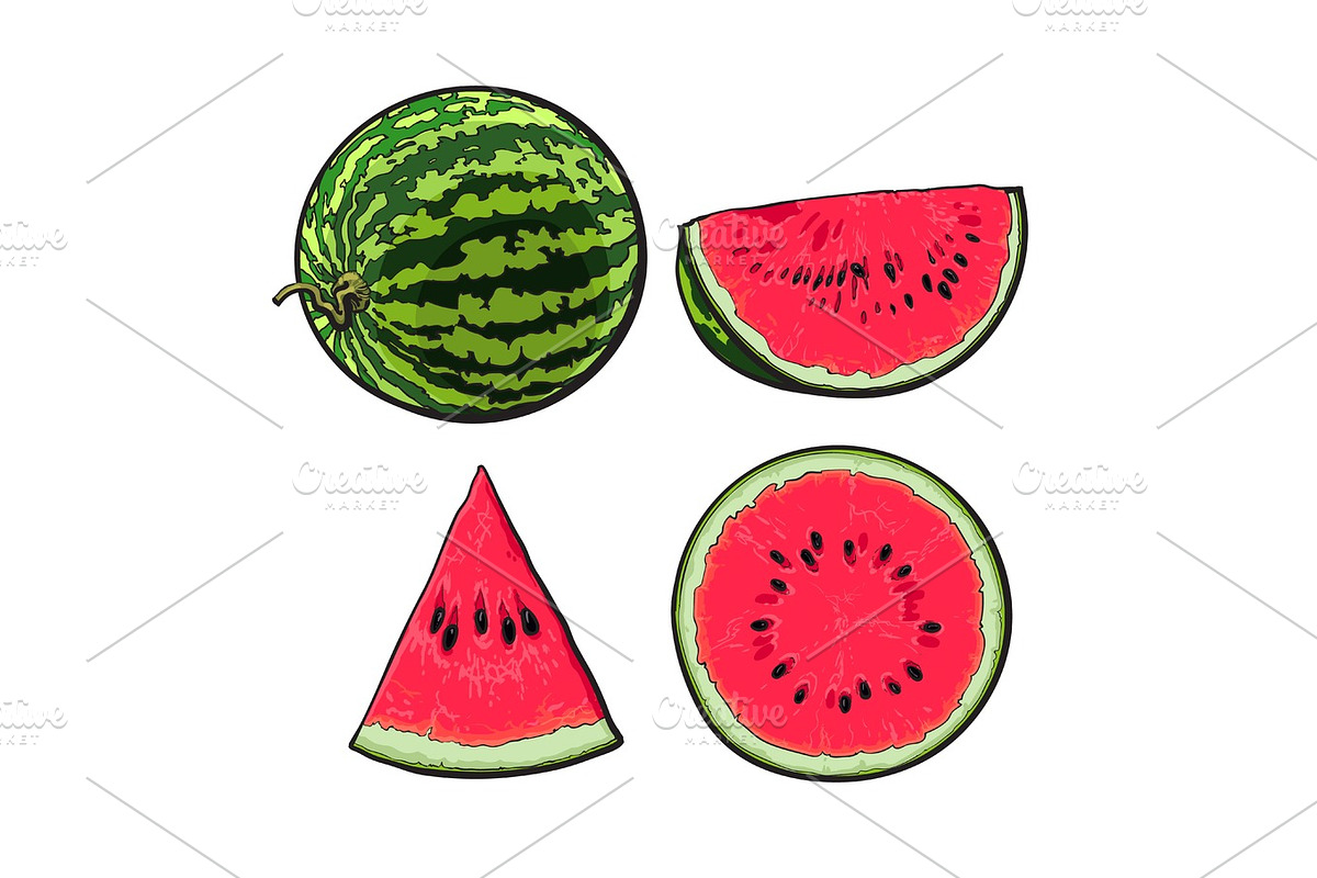 Whole, half, quarter and slice of ripe watermelon, sketch illustration in Illustrations - product preview 8
