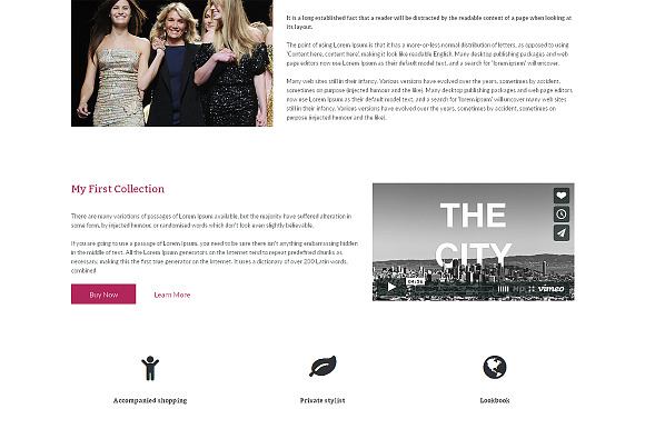 Fashion Designer  One Page Theme in Landing Page Templates - product preview 1