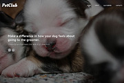 Pets Responsive One Page Theme