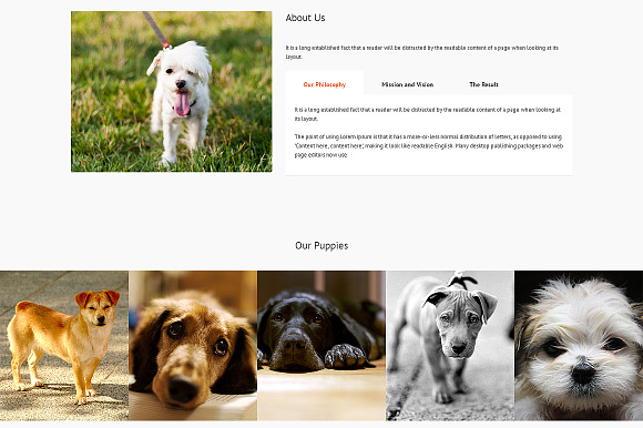 Pets Responsive One Page Theme in Landing Page Templates - product preview 1