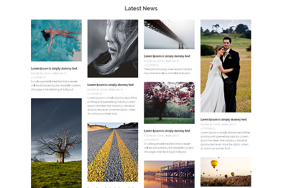 Photographer  One Page Theme in Landing Page Templates - product preview 2
