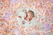 Digital Backdrop Newborn Photography