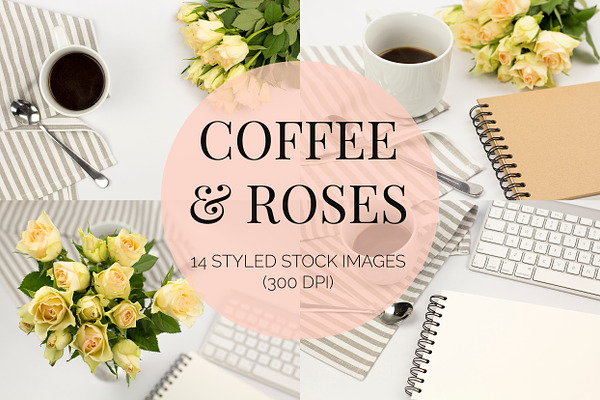 Coffee & Roses Neutral Photos
