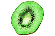 Watercolor kiwi fruit vector