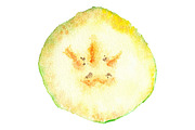 Watercolor banana fruit vector