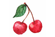 Watercolor sweet cherry vector