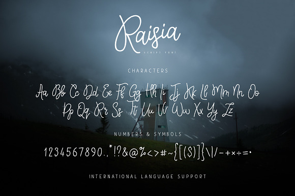 Raisia Script Font in Script Fonts - product preview 5