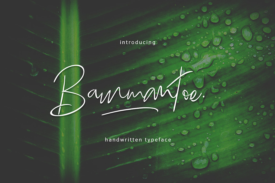 Bammantoe Typeface in Script Fonts - product preview 8