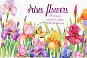 iris flowers. watercolor clipart