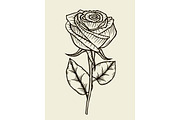 Rose. Vector. Hand drawn artwork