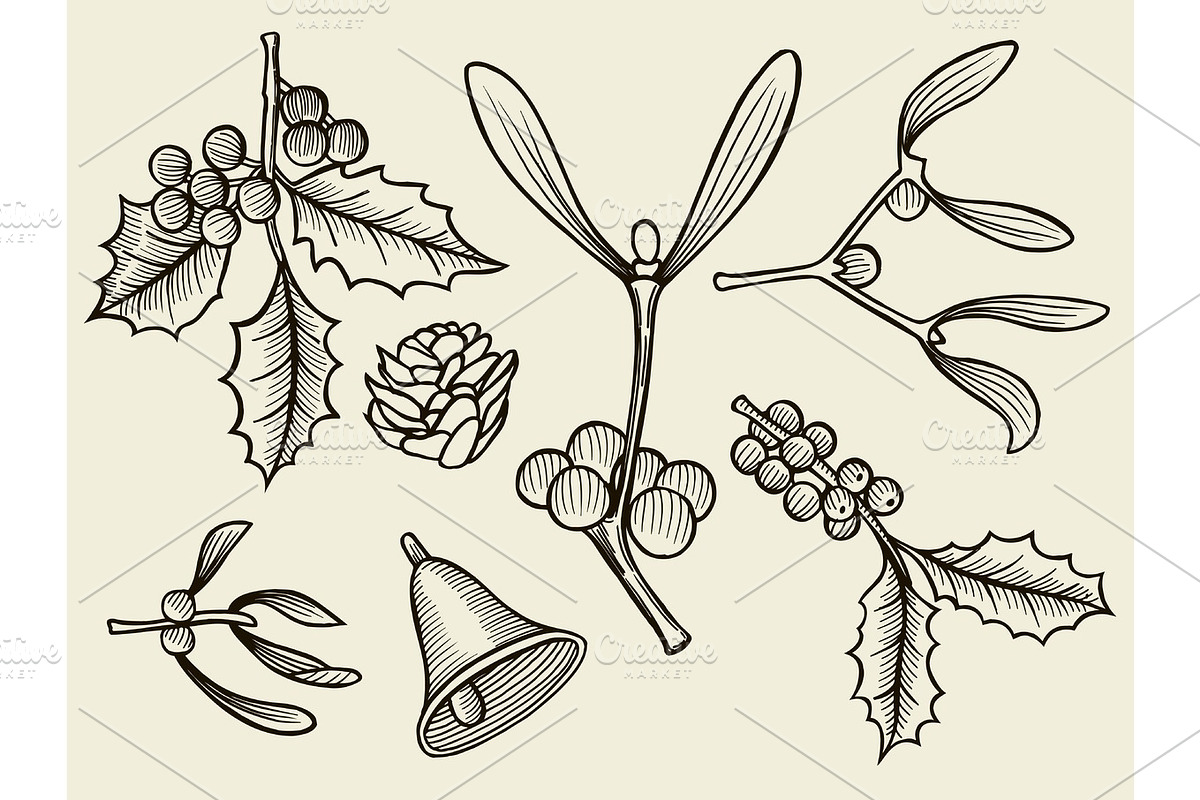 Vector set with Christmas plants. in Illustrations - product preview 8