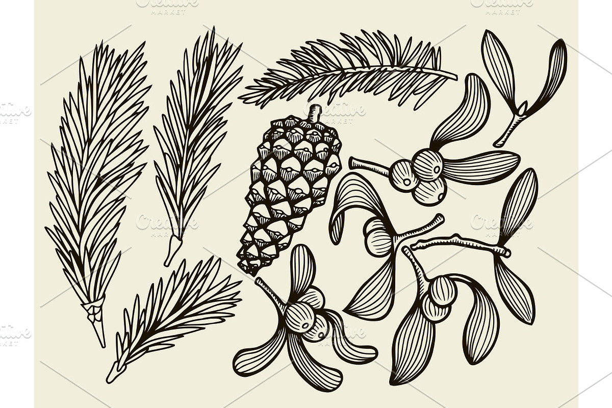 Vector set with Christmas plants. in Illustrations - product preview 8