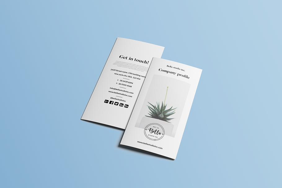 Agency profile Tri-fold brochure