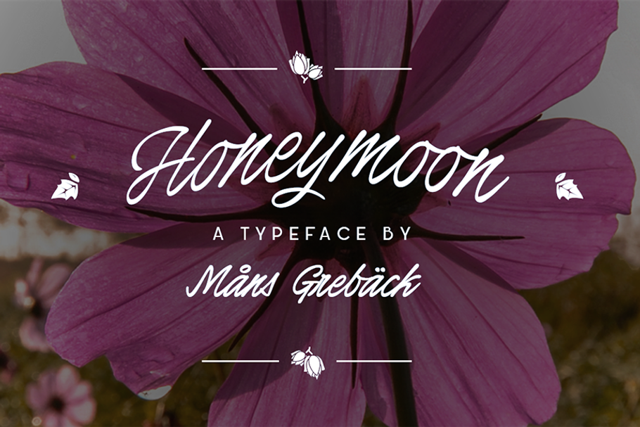 Honeymoon in Script Fonts - product preview 8
