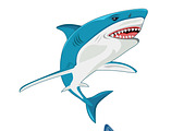 shark. vector illustration