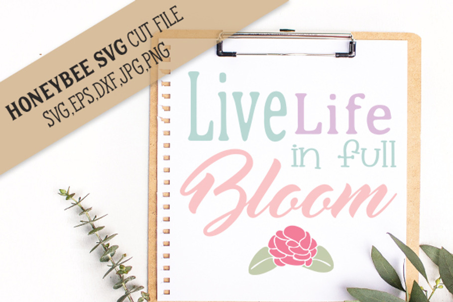 Live Life in Full Bloom cut file in Illustrations - product preview 8