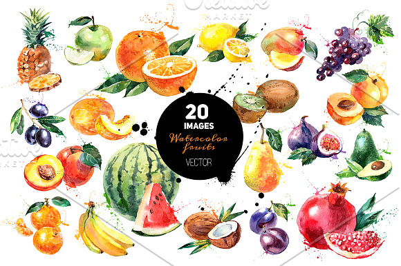  Watercolor Vector Bundle  in Illustrations - product preview 2