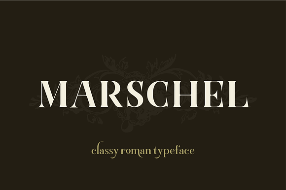 Marschel | a Classy Roman Typeface in Serif Fonts - product preview 10