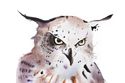 Hand drawn watercolor illustration portrait of owl