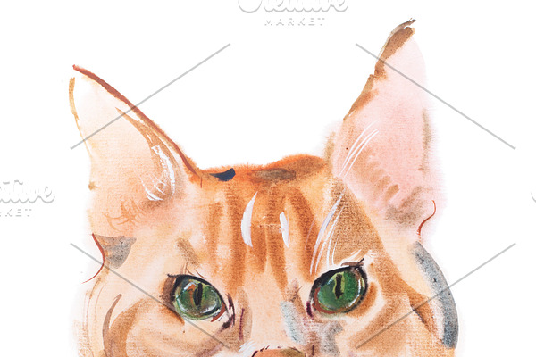 watercolor painting, red-headed curious watching furry cat aquarelle drawing