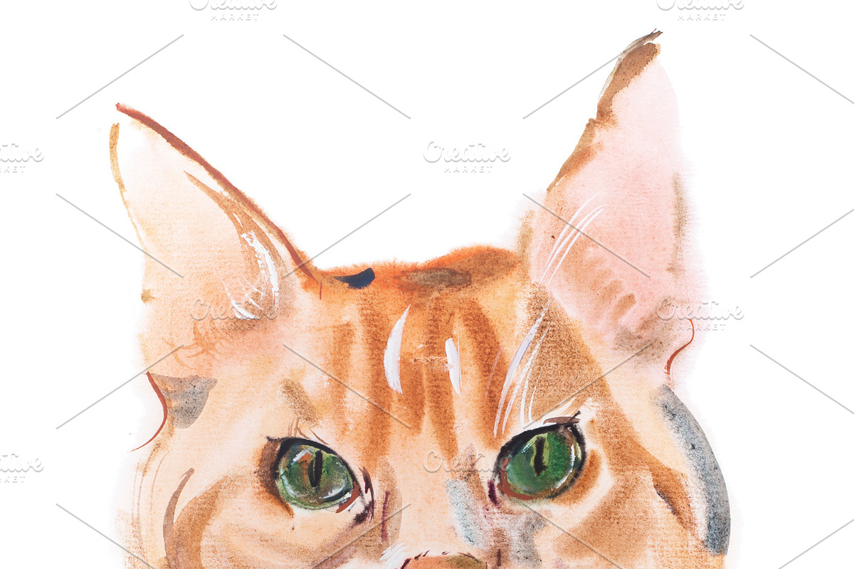 watercolor painting, red-headed curious watching furry cat aquarelle drawing in Illustrations - product preview 8