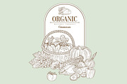 Organic, Vector Illustration Banner