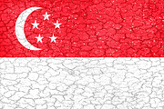 Singapore Flag Grunge