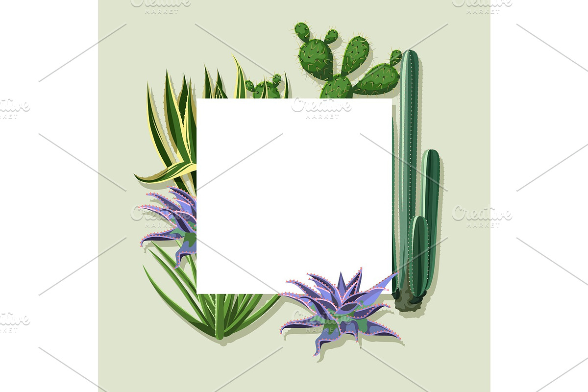 Frame with cactuses and succulents set. Plants of desert in Objects - product preview 8