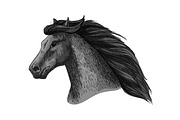 Horse head of running mustang vector sketch