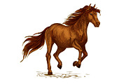 Horse running on sport races vector sketch