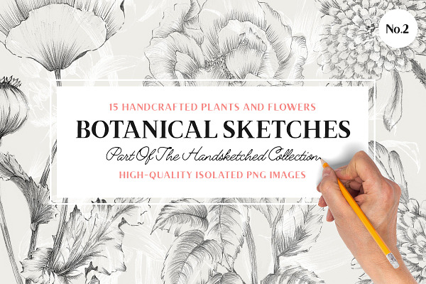 15 Handcrafted Flower Illustrations