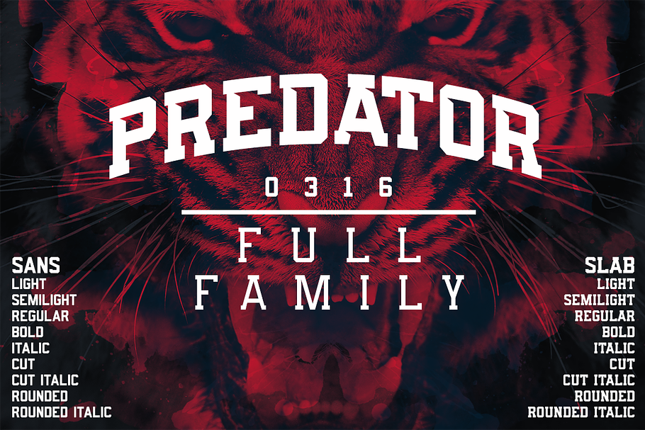 Predator 0316 - Full Family in Display Fonts - product preview 8